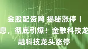 金股配资网 揭秘涨停丨一则消息，彻底引爆！金融科技龙头涨停