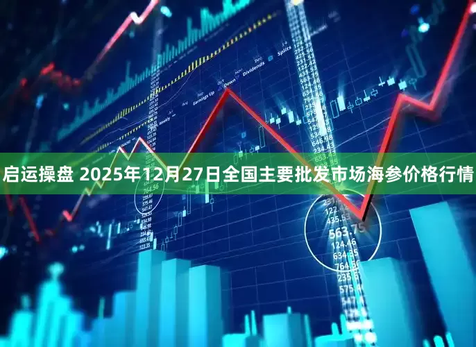 启运操盘 2025年12月27日全国主要批发市场海参价格行情